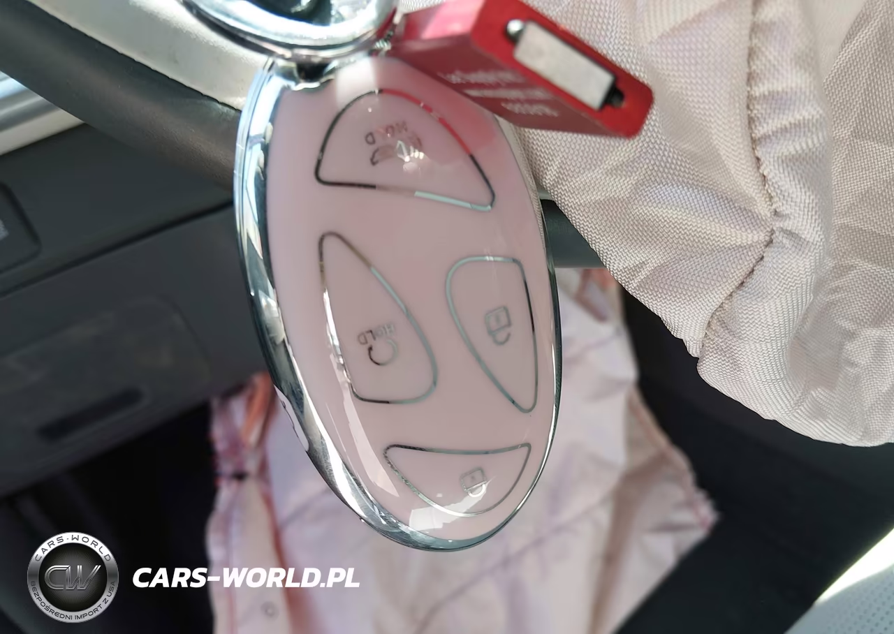 2025 Hyundai Santa Fe Calligraphy VIN:5NMP5DGLXSH132659 - 11