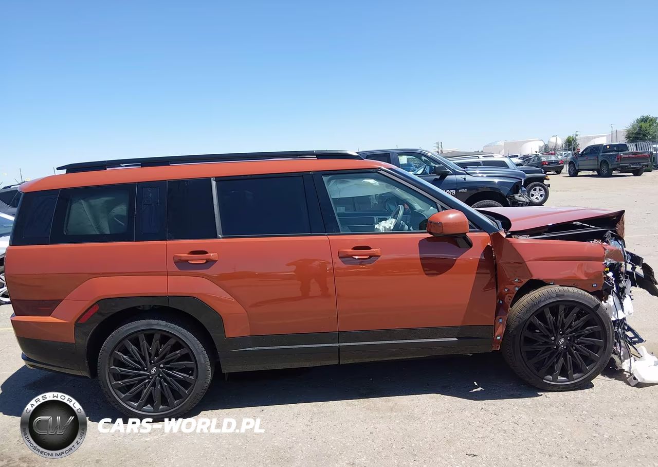 2025 Hyundai Santa Fe Calligraphy VIN:5NMP5DGLXSH132659 - 14