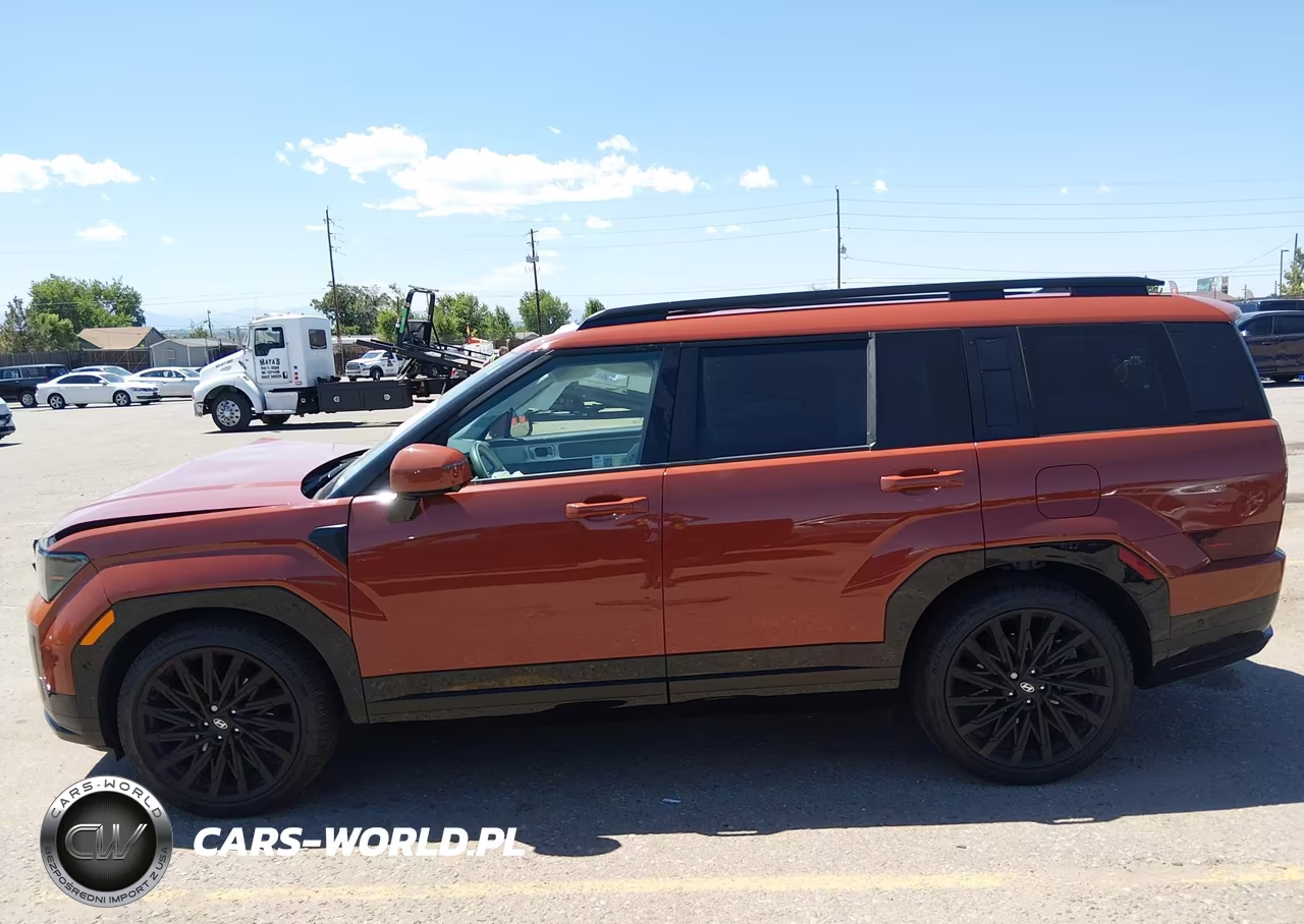 2025 Hyundai Santa Fe Calligraphy VIN:5NMP5DGLXSH132659 - 15