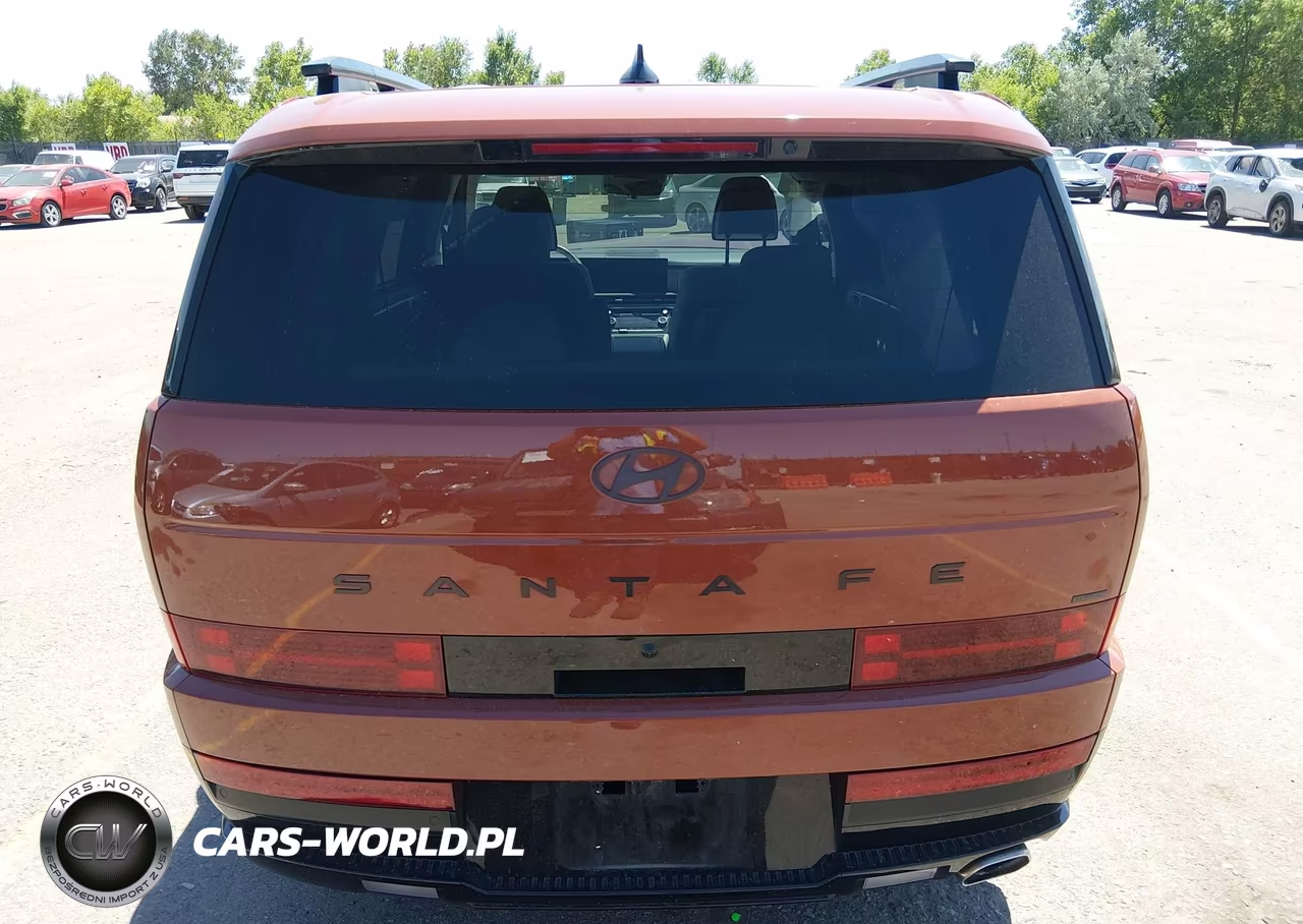 2025 Hyundai Santa Fe Calligraphy VIN:5NMP5DGLXSH132659 - 17