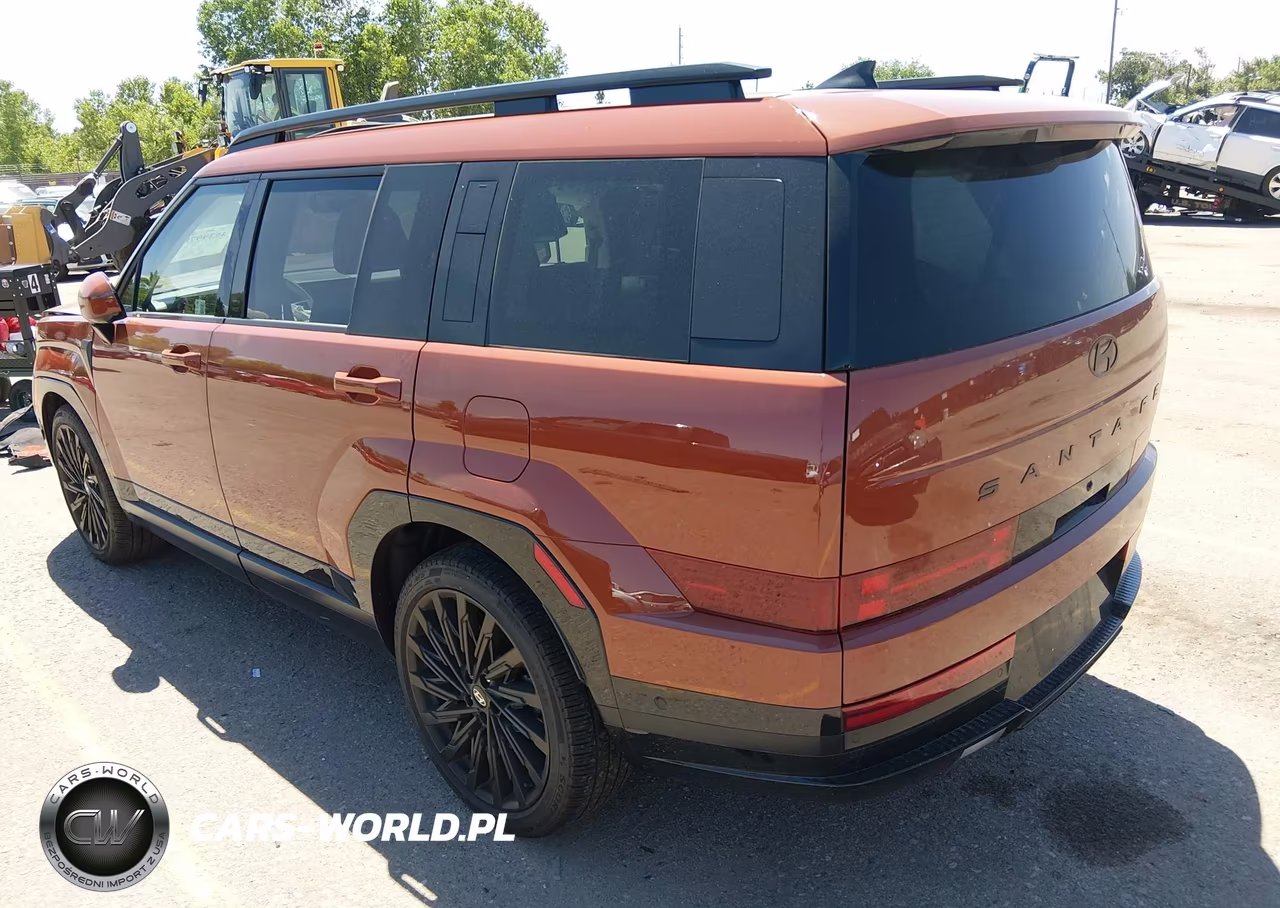 2025 Hyundai Santa Fe Calligraphy VIN:5NMP5DGLXSH132659 - 3