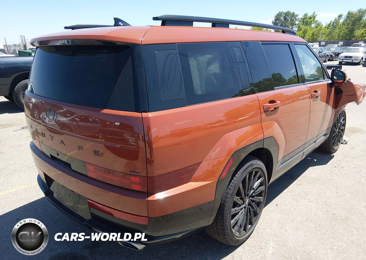 2025 Hyundai Santa Fe Calligraphy VIN:5NMP5DGLXSH132659 - 4