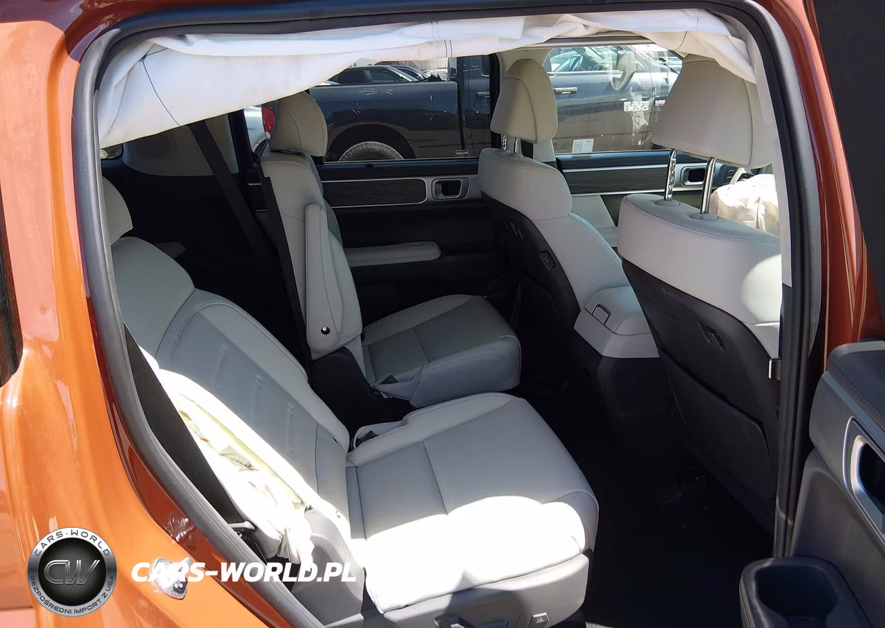2025 Hyundai Santa Fe Calligraphy VIN:5NMP5DGLXSH132659 - 8