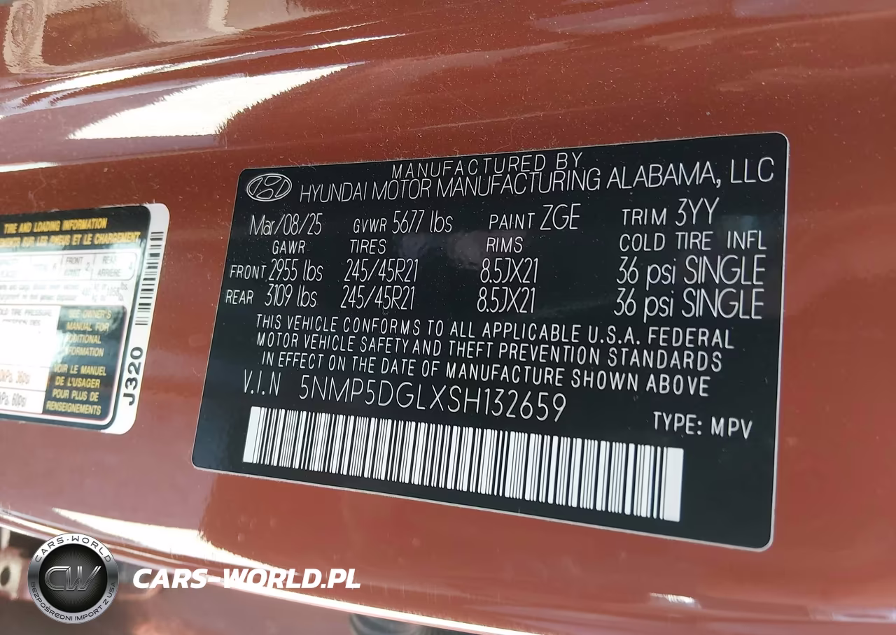 2025 Hyundai Santa Fe Calligraphy VIN:5NMP5DGLXSH132659 - 9