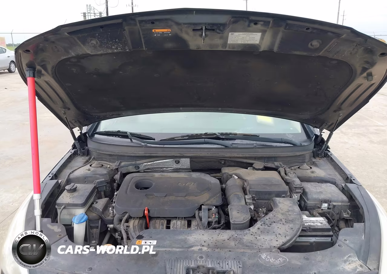 2015 Hyundai Sonata Sport VIN:5NPE34AF2FH234305 - 10