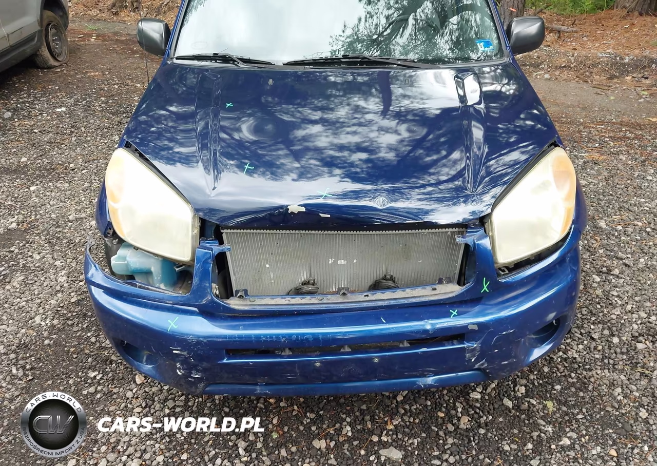 2001 Toyota Rav4 VIN:JTEGH20V710022220 - 6