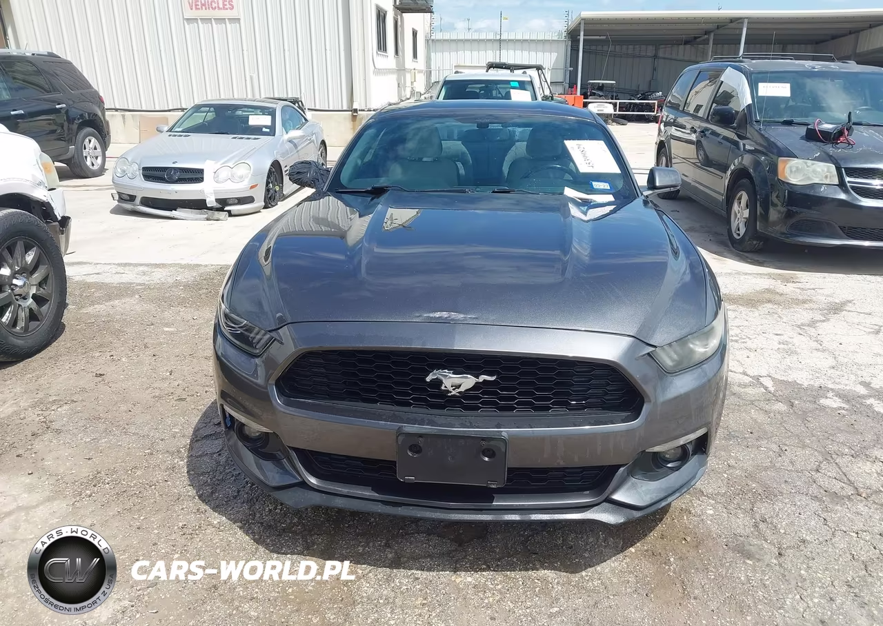 2015 Ford Mustang Ecoboost VIN:1FA6P8TH0F5425385 - 12