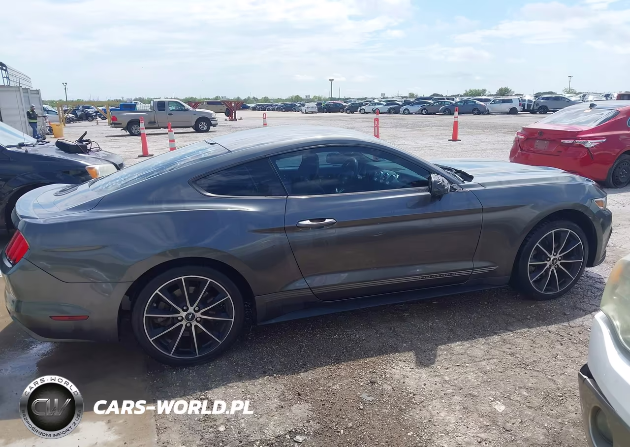 2015 Ford Mustang Ecoboost VIN:1FA6P8TH0F5425385 - 13