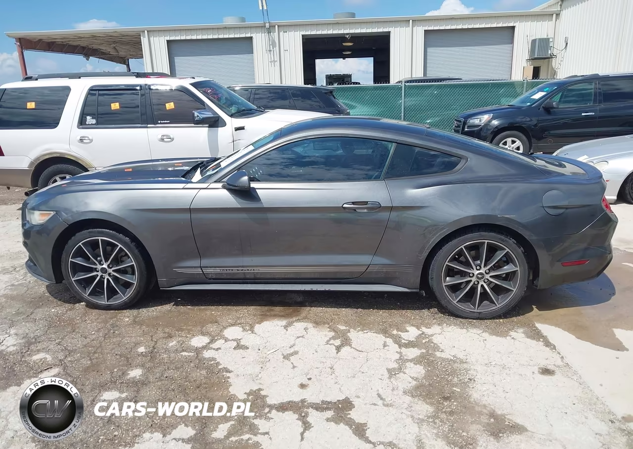 2015 Ford Mustang Ecoboost VIN:1FA6P8TH0F5425385 - 14