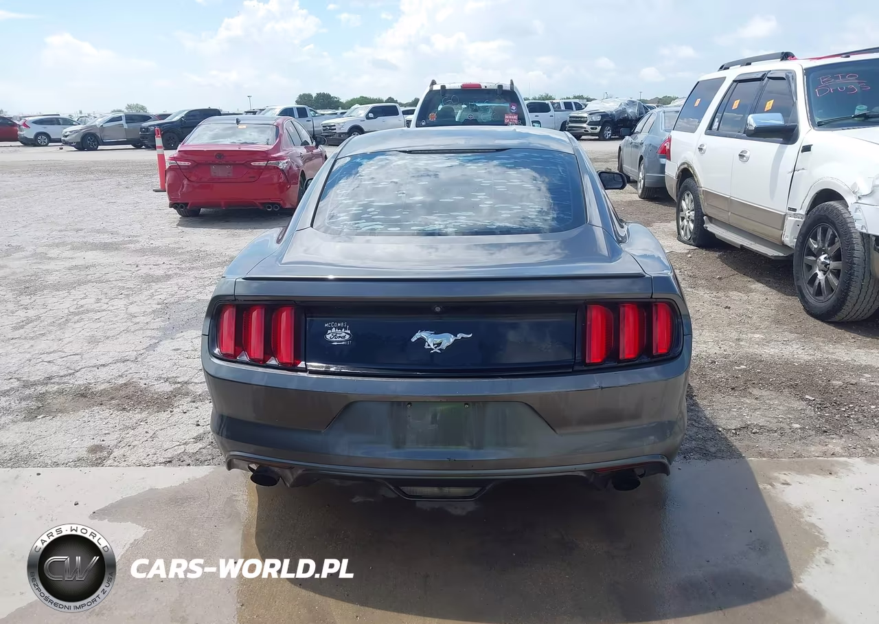 2015 Ford Mustang Ecoboost VIN:1FA6P8TH0F5425385 - 16