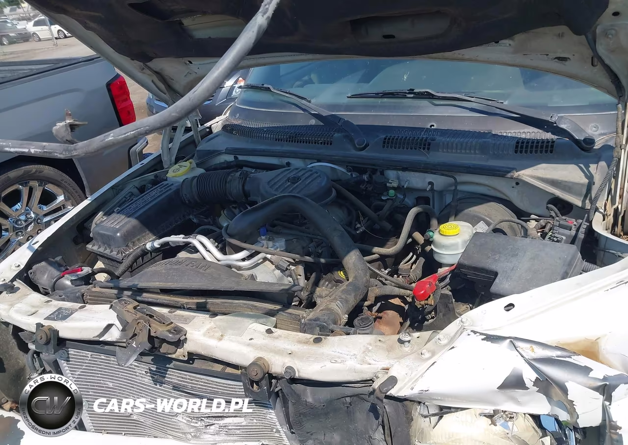 1999 Dodge Durango VIN:1B4HR28Y3XF524472 - 10