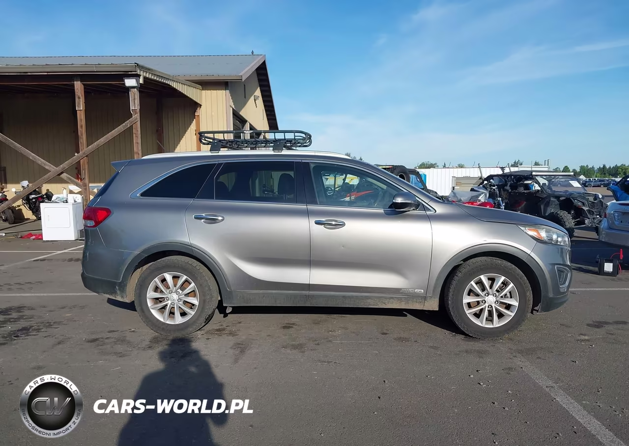 2017 Kia Sorento 3.3L Lx VIN:5XYPGDA53HG217544 - 13