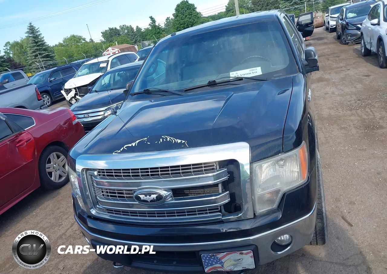 2014 Ford F-150 Xlt VIN:1FTFW1ET9EFB75966 - 12