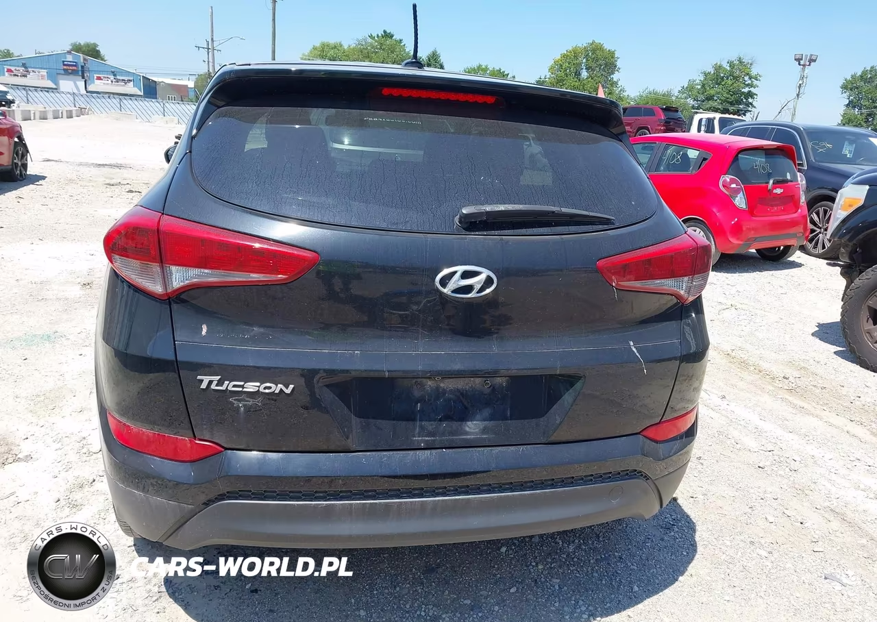 2017 Hyundai Tucson Se VIN:KM8J23A43HU263360 - 16
