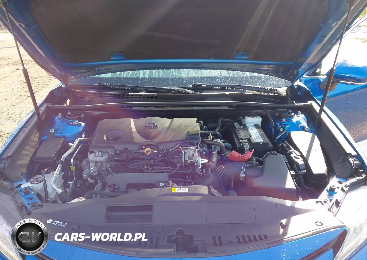 2019 Toyota Camry Xle VIN:4T1B11HK0KU172294 - 10
