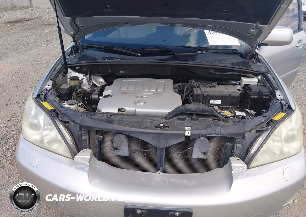 2007 Lexus Rx 350 VIN:2T2HK31U17C026327 - 10