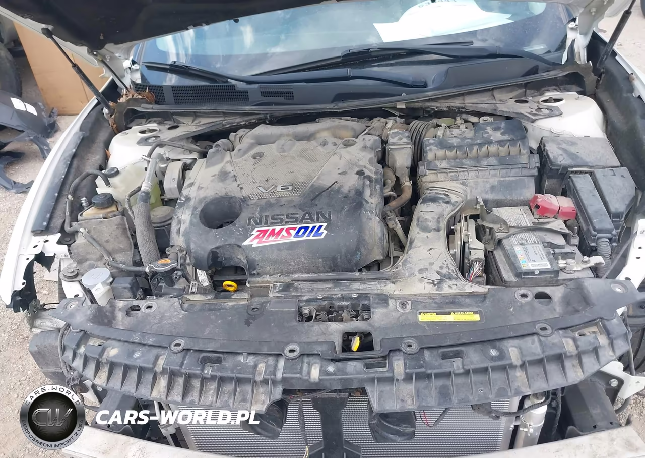 2019 Nissan Maxima 3.5 S VIN:1N4AA6AV5KC384623 - 10