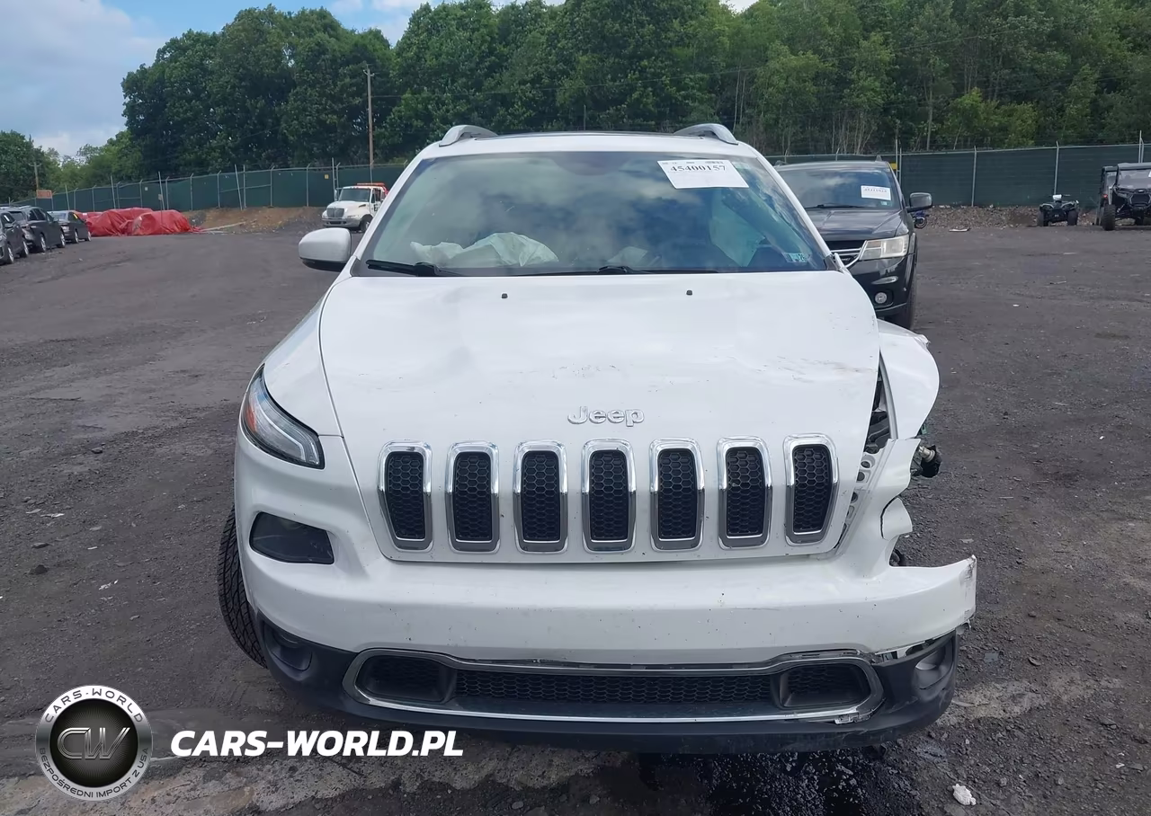 2017 Jeep Cherokee Limited 4X4 VIN:1C4PJMDS1HW576445 - 12