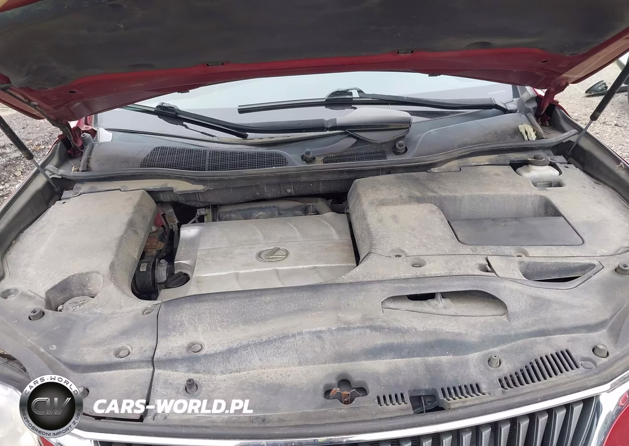 2010 Lexus Rx 350 VIN:2T2BK1BA0AC011792 - 10