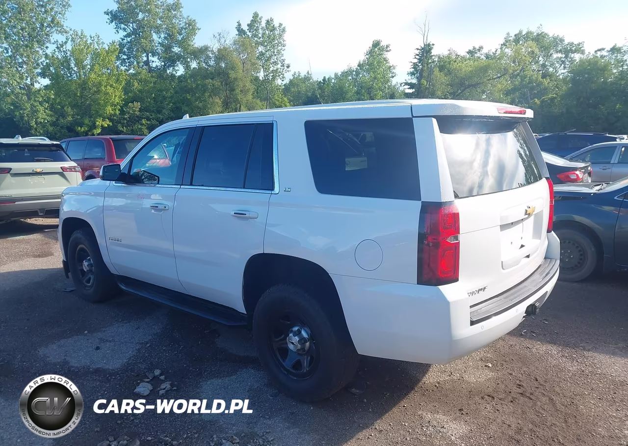 2016 Chevrolet Tahoe Commercial Fleet VIN:1GNSKEEC7GR321310 - 3
