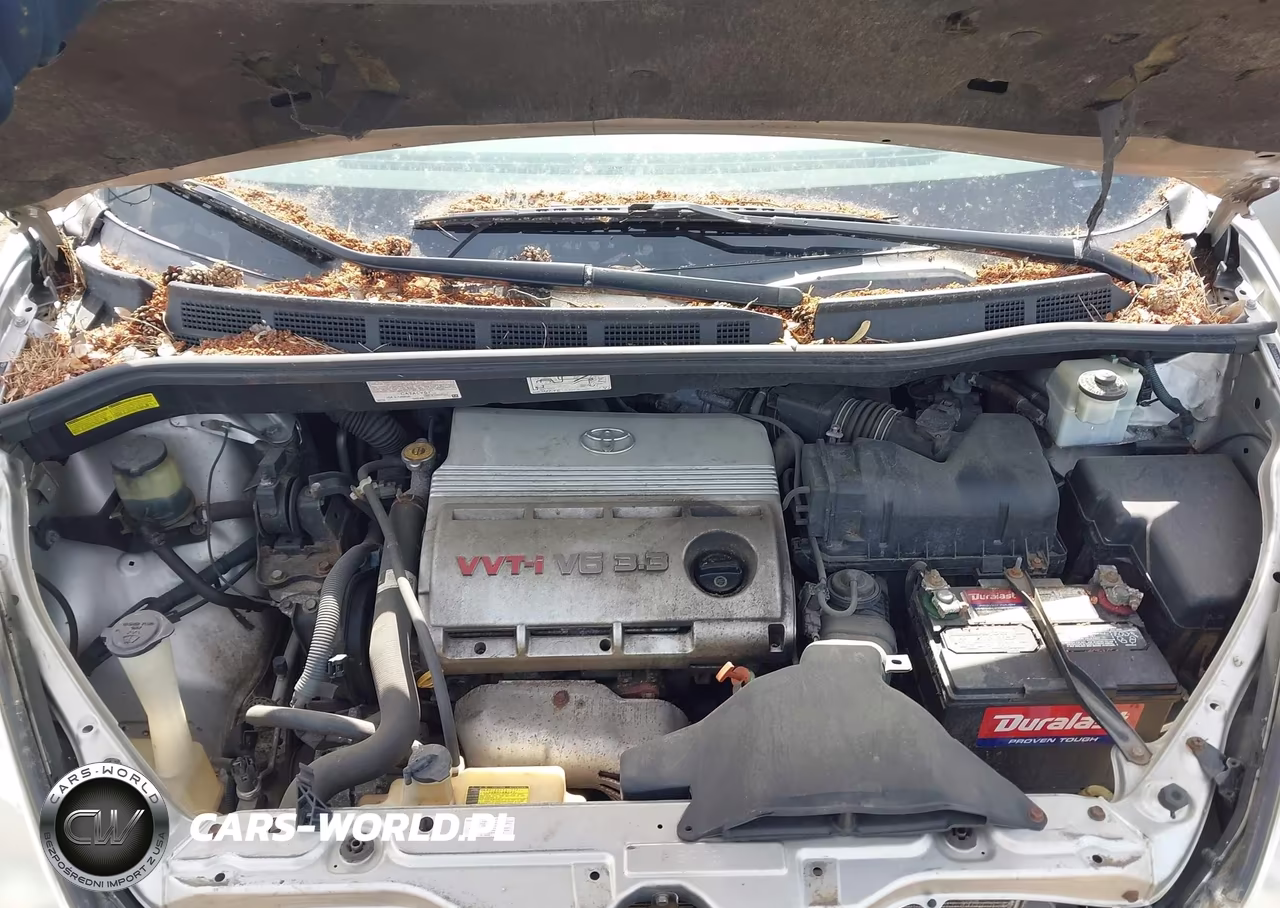 2005 Toyota Sienna Le VIN:5TDZA23C45S347745 - 10