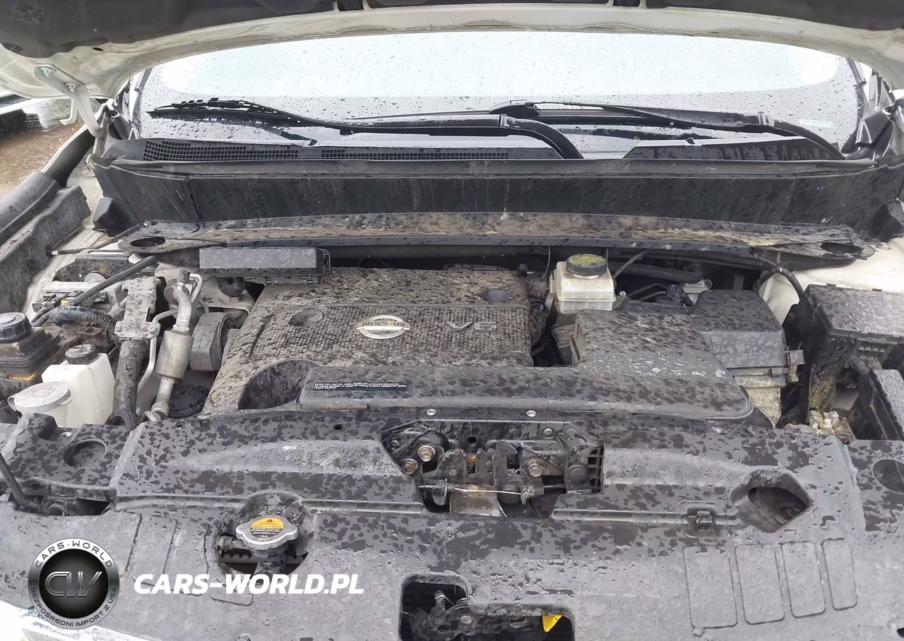 2016 Nissan Pathfinder Platinum VIN:5N1AR2MM8GC658818 - 10