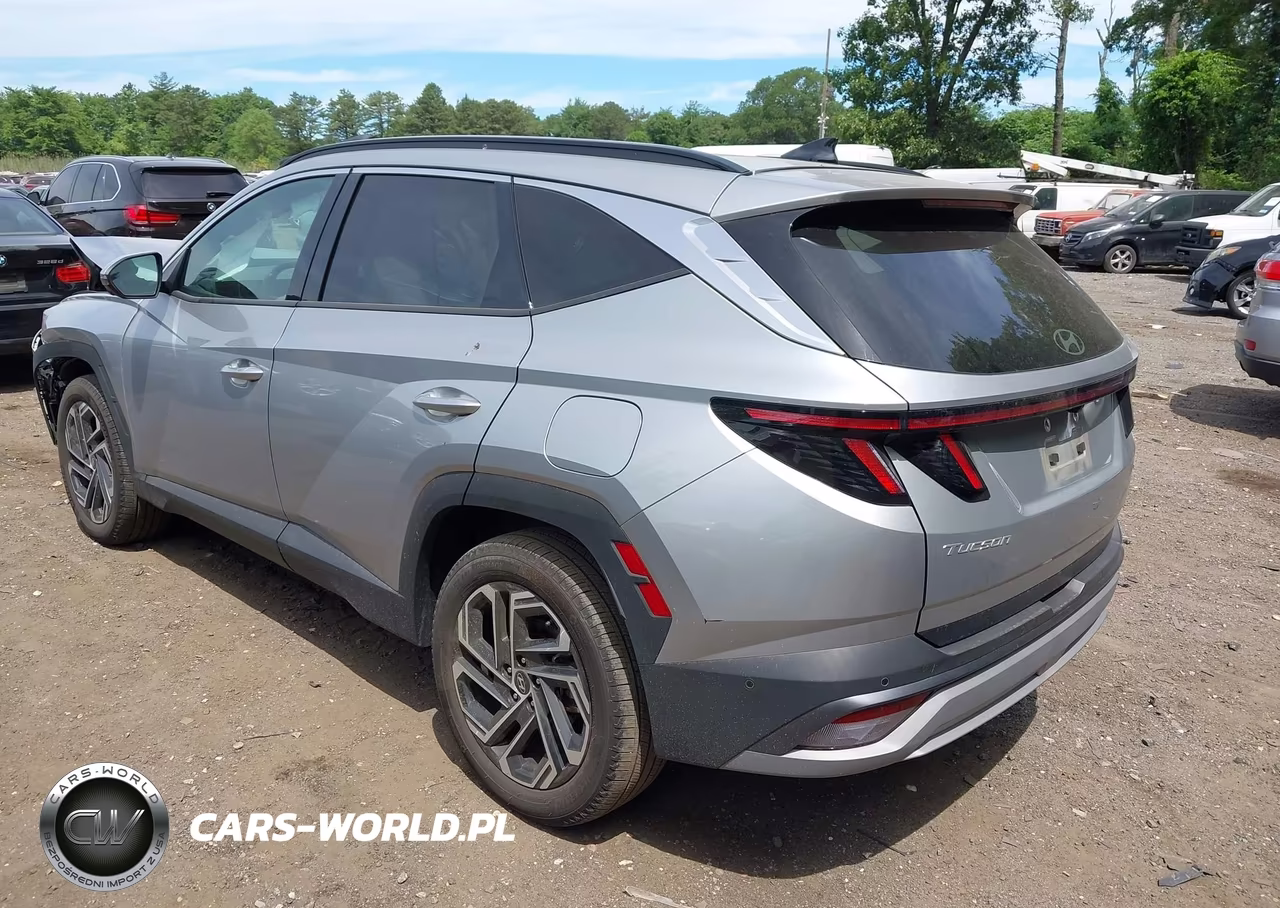 2025 Hyundai Tucson Limited VIN:5NMJECDE6SH539531 - 3