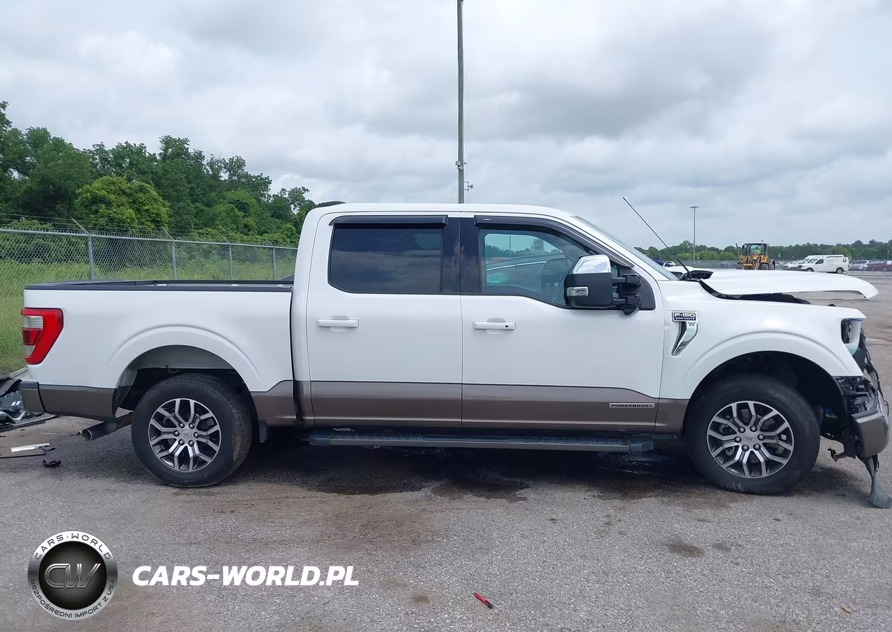 2021 Ford F-150 King Ranch VIN:1FTFW1CD5MFB67633 - 13