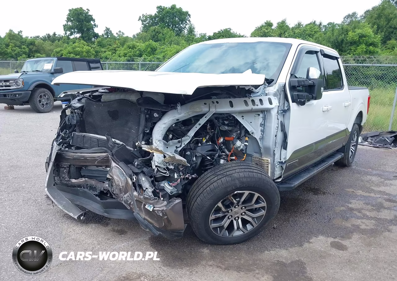 2021 Ford F-150 King Ranch VIN:1FTFW1CD5MFB67633 - 2