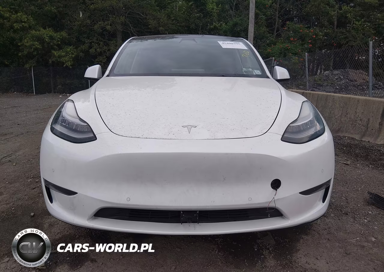 2021 Tesla Model Y Standard Range Rear-Wheel Drive VIN:5YJYGDED9MF192785 - 12