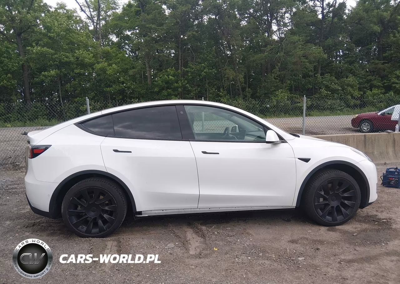 2021 Tesla Model Y Standard Range Rear-Wheel Drive VIN:5YJYGDED9MF192785 - 13