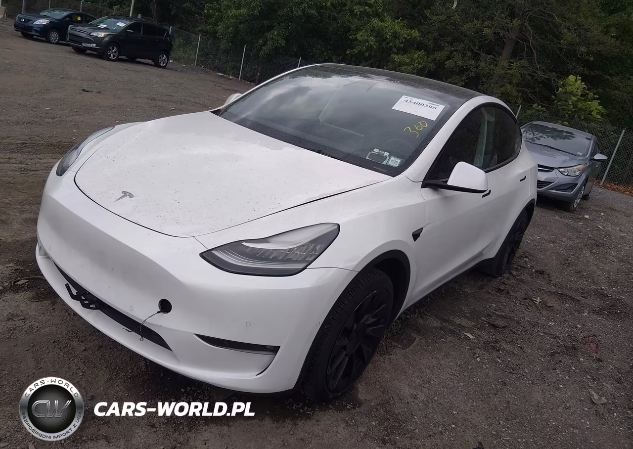 2021 Tesla Model Y Standard Range Rear-Wheel Drive VIN:5YJYGDED9MF192785 - 2