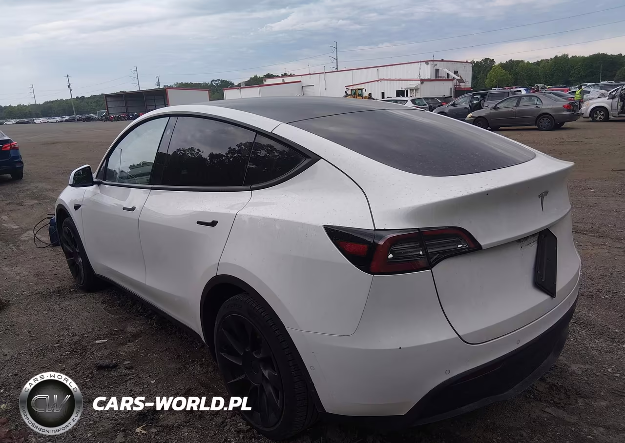 2021 Tesla Model Y Standard Range Rear-Wheel Drive VIN:5YJYGDED9MF192785 - 3