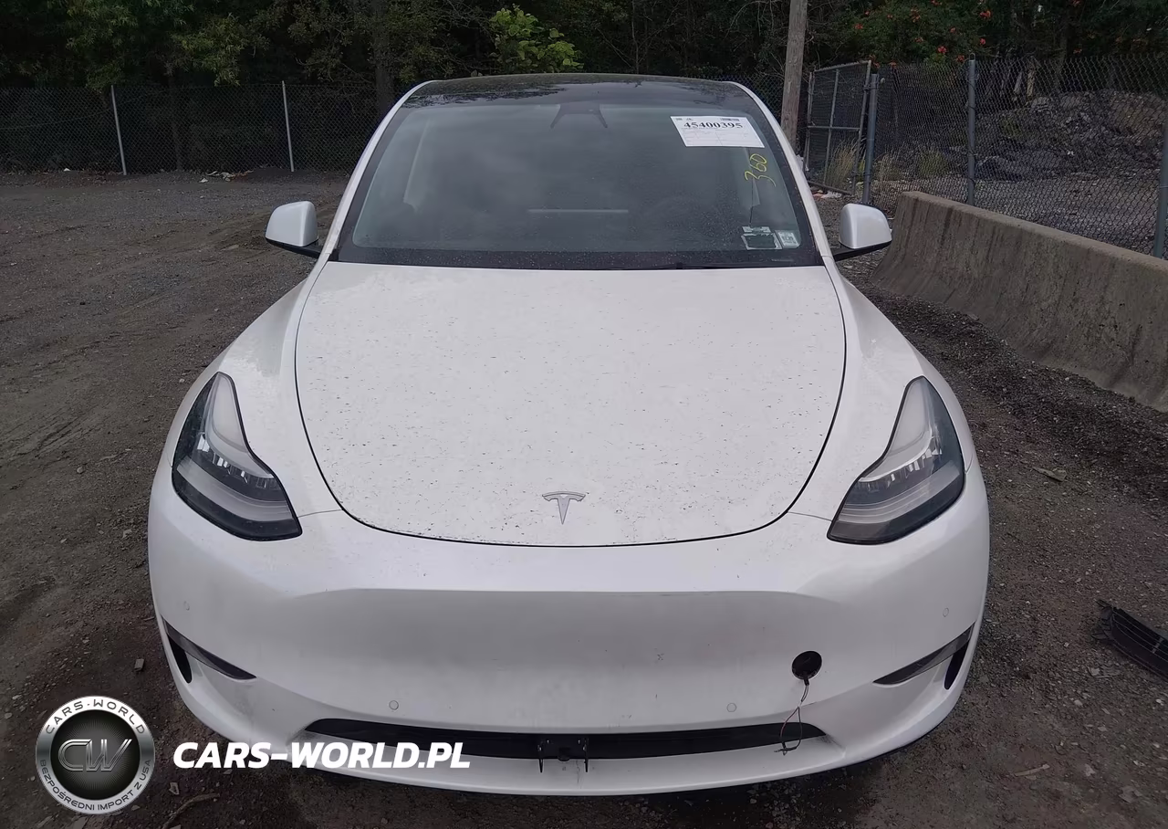 2021 Tesla Model Y Standard Range Rear-Wheel Drive VIN:5YJYGDED9MF192785 - 6