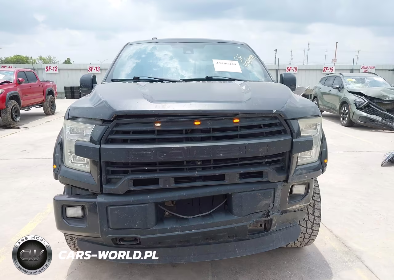 2016 Ford F-150 King Ranch-Lariat-Platinum-Xl-Xlt VIN:1FTEW1EF9GFB11418 - 12