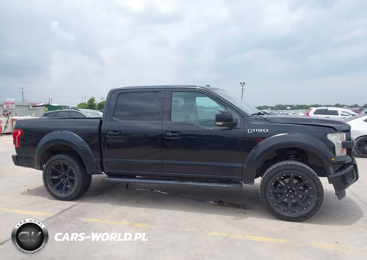 2016 Ford F-150 King Ranch-Lariat-Platinum-Xl-Xlt VIN:1FTEW1EF9GFB11418 - 13