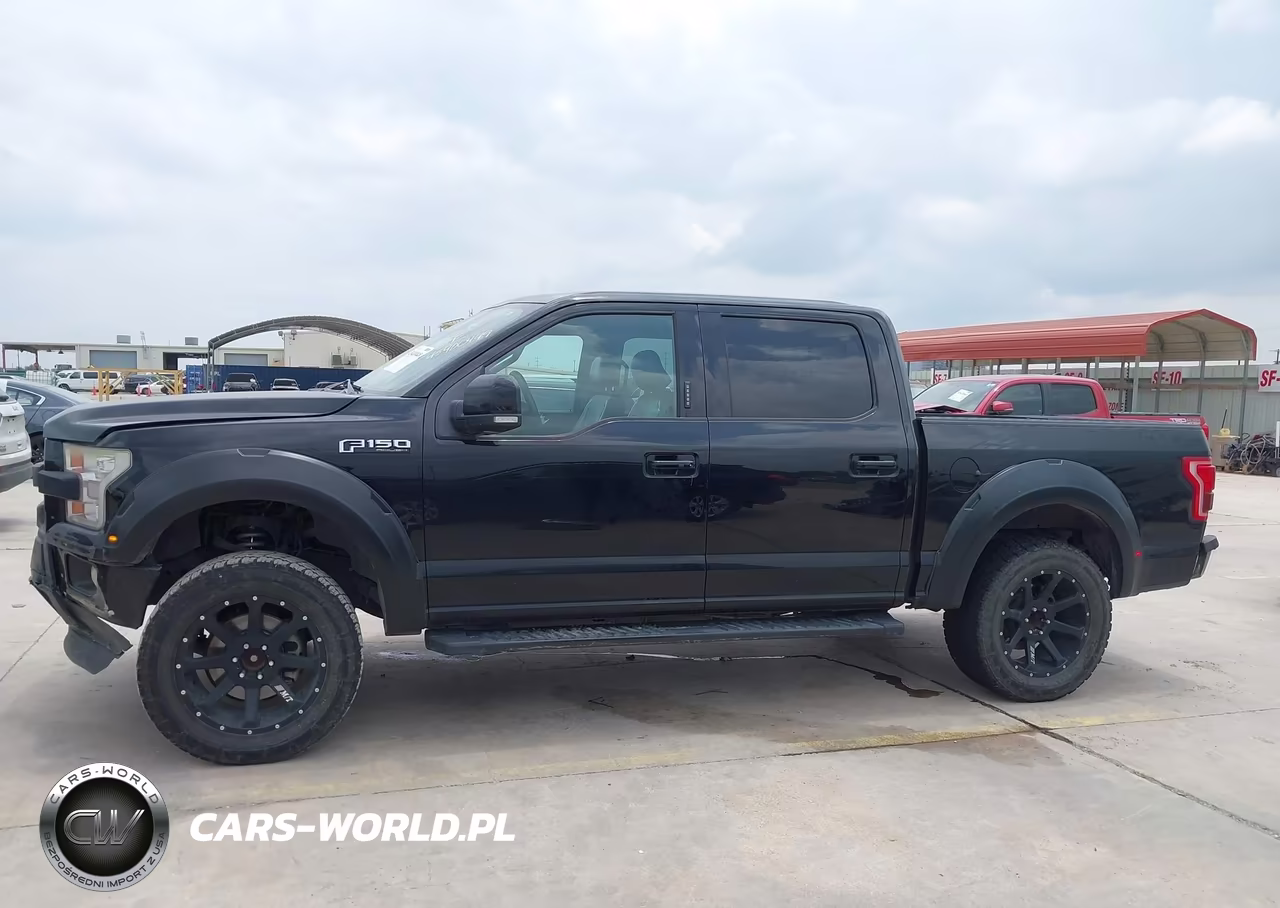 2016 Ford F-150 King Ranch-Lariat-Platinum-Xl-Xlt VIN:1FTEW1EF9GFB11418 - 14