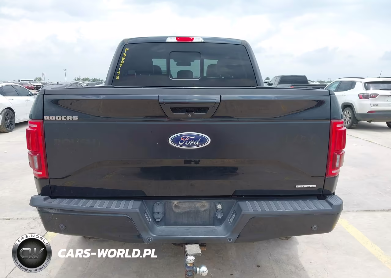 2016 Ford F-150 King Ranch-Lariat-Platinum-Xl-Xlt VIN:1FTEW1EF9GFB11418 - 16