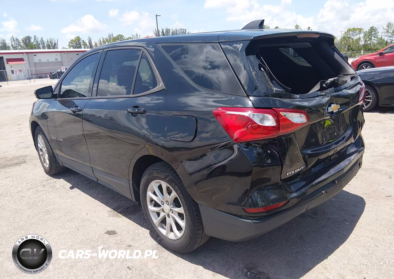 2019 Chevrolet Equinox Ls VIN:3GNAXHEV0KL361826 - 3