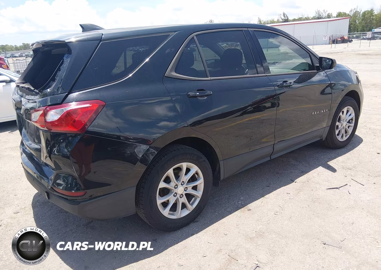 2019 Chevrolet Equinox Ls VIN:3GNAXHEV0KL361826 - 4