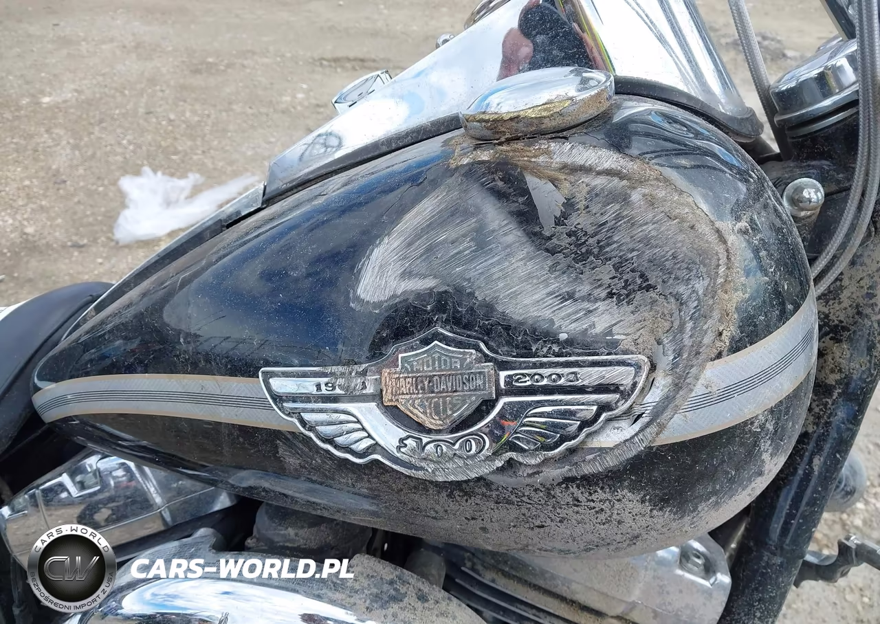 2003 Harley-Davidson Fxdwg VIN:1HD1GEV153K322803 - 14