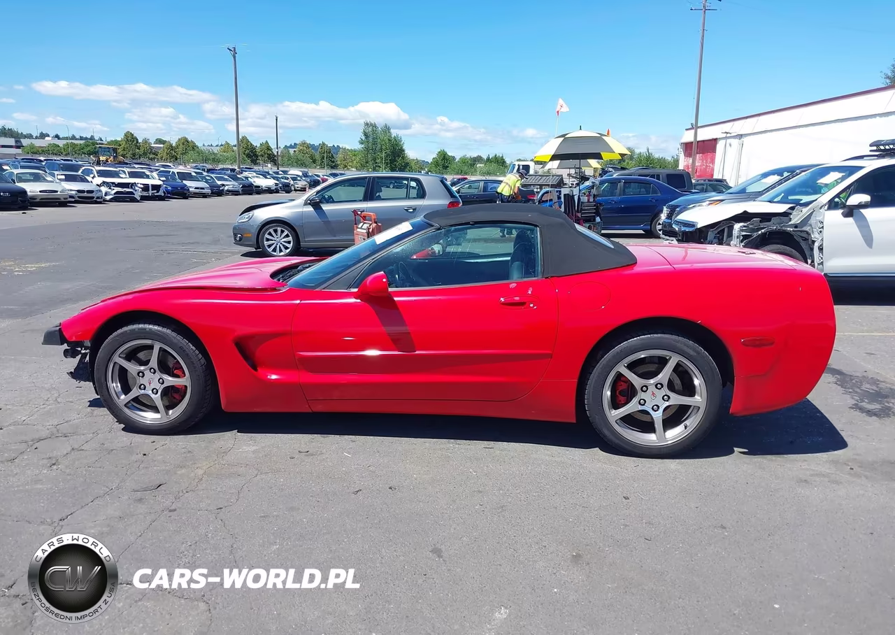 2004 Chevrolet Corvette VIN:1G1YY32G845103305 - 15