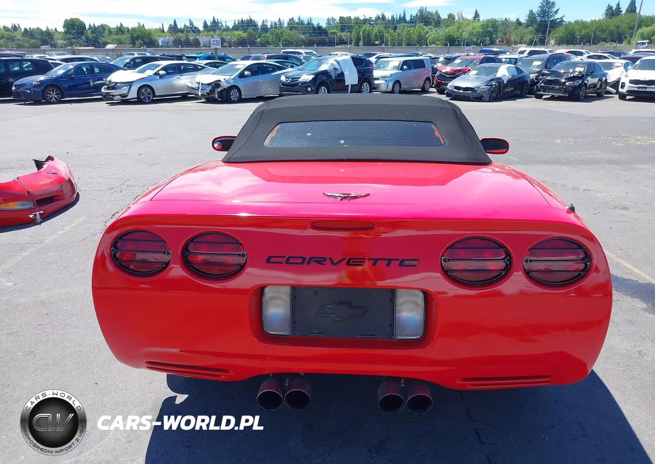 2004 Chevrolet Corvette VIN:1G1YY32G845103305 - 17