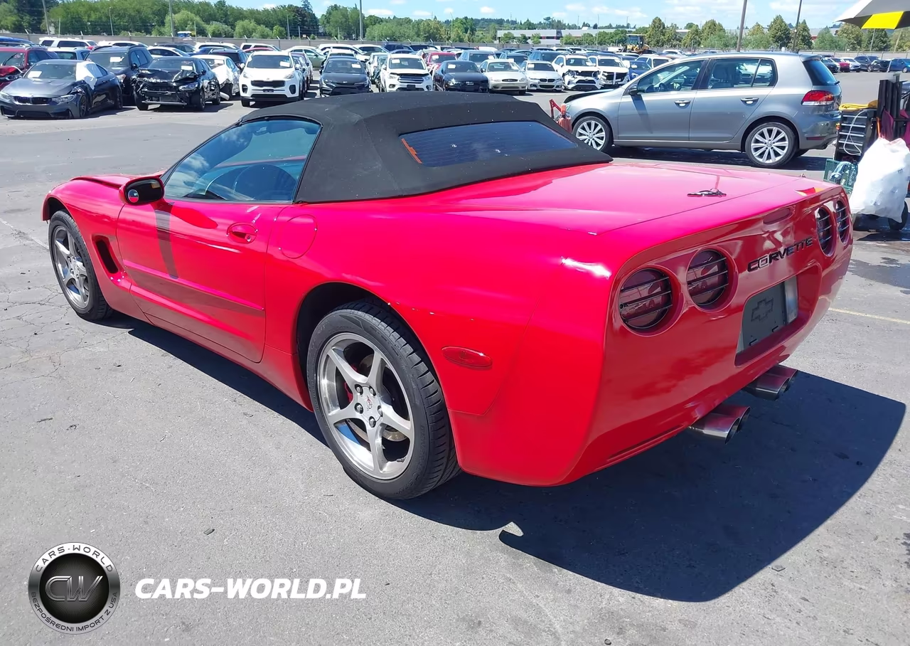 2004 Chevrolet Corvette VIN:1G1YY32G845103305 - 3