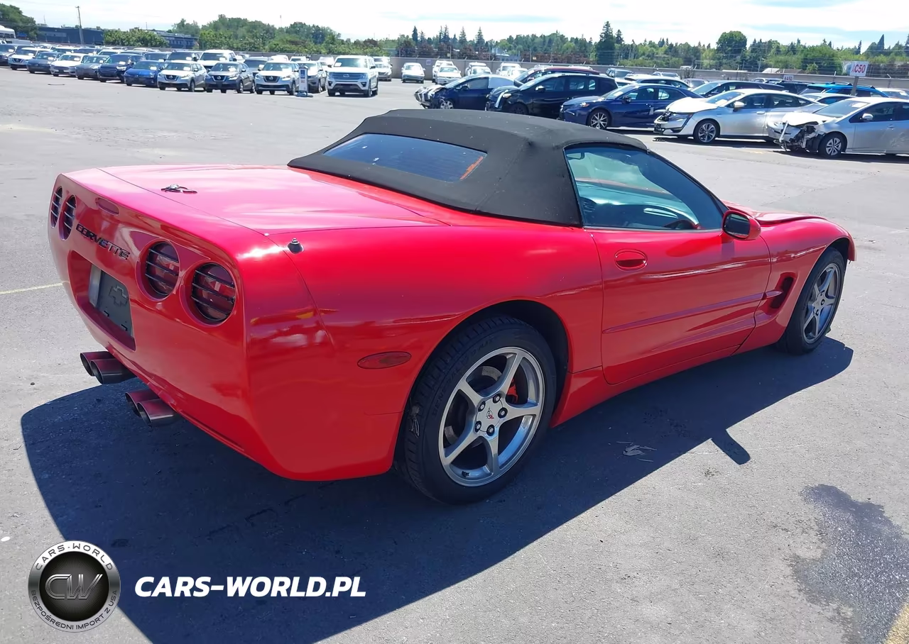 2004 Chevrolet Corvette VIN:1G1YY32G845103305 - 4