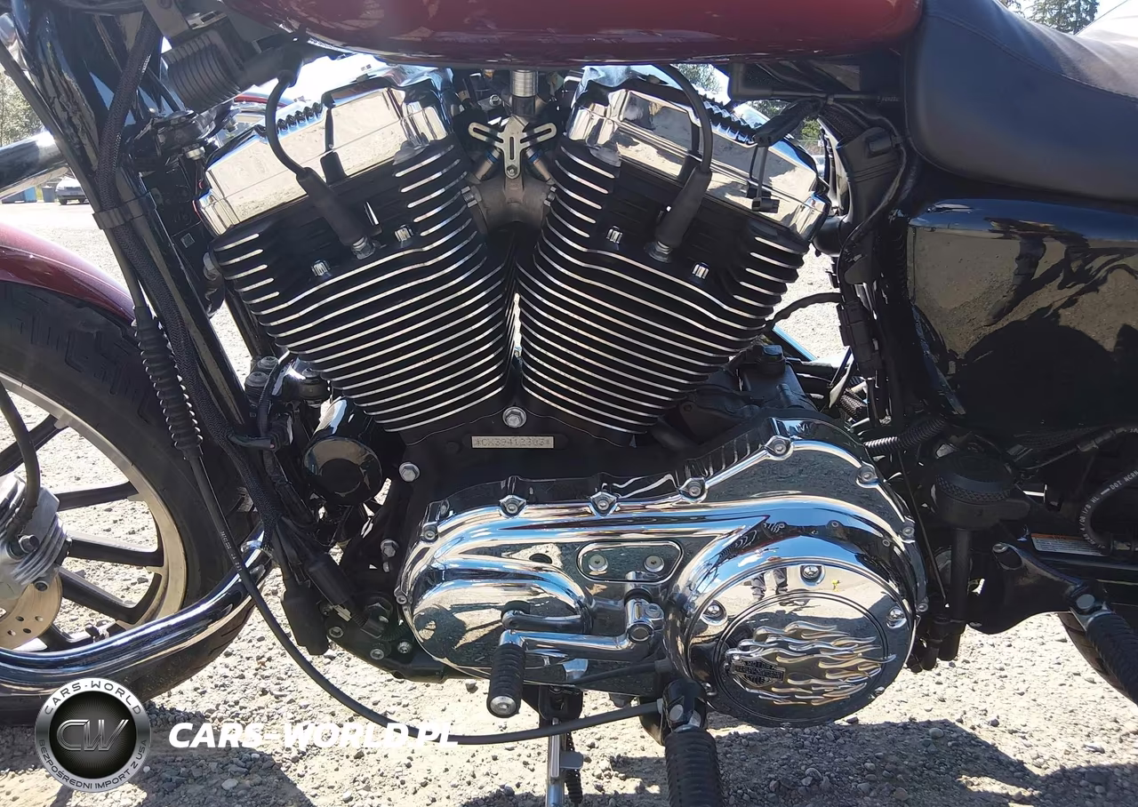 2009 Harley-Davidson Xl1200 L VIN:1HD1CX3149K412303 - 9
