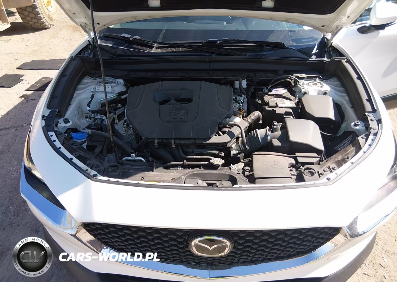 2023 Mazda Cx-30 2.5 S Select VIN:3MVDMBBM9PM529549 - 10