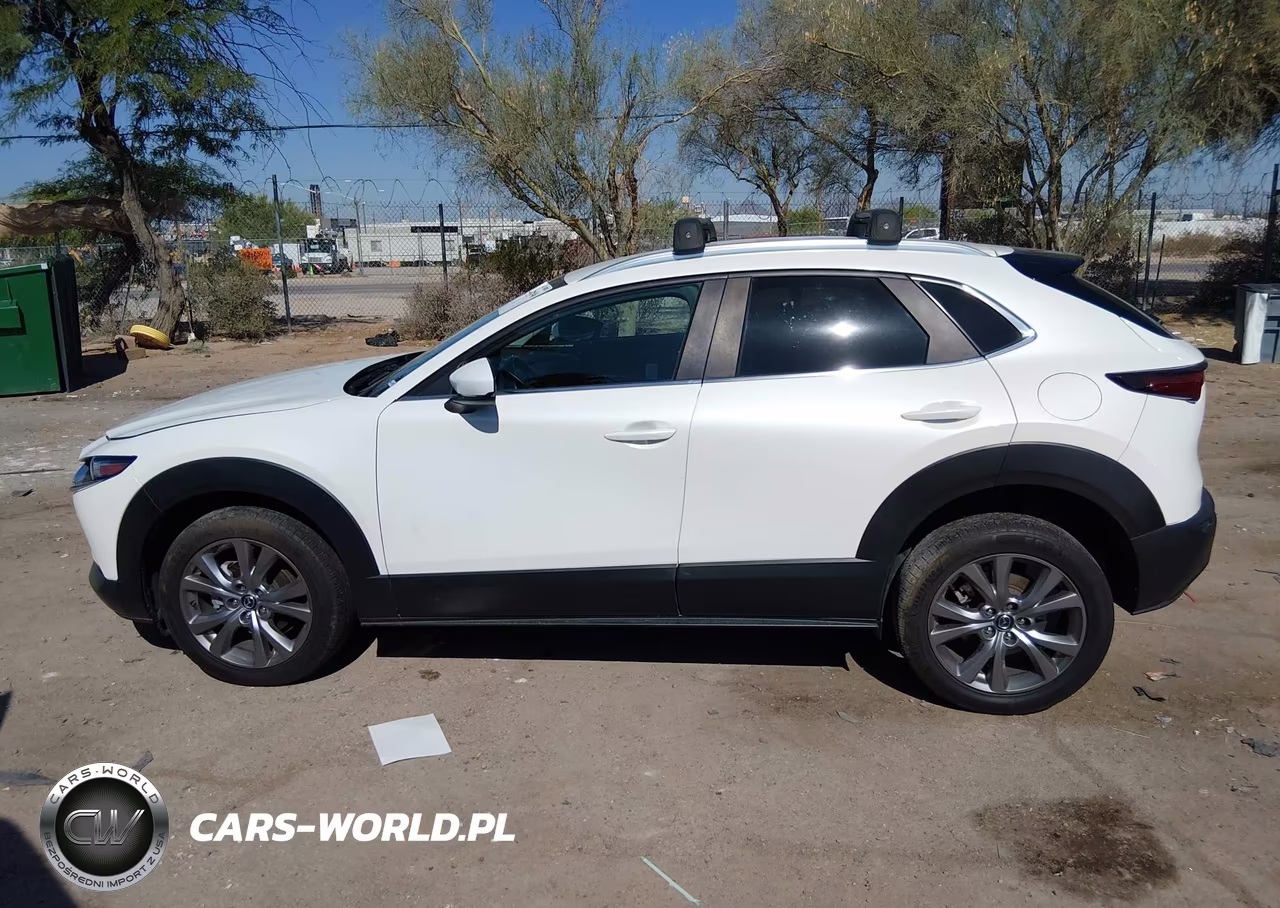 2023 Mazda Cx-30 2.5 S Select VIN:3MVDMBBM9PM529549 - 13