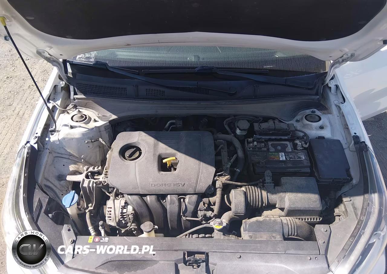2019 Kia Forte Lxs VIN:3KPF24AD0KE013418 - 10