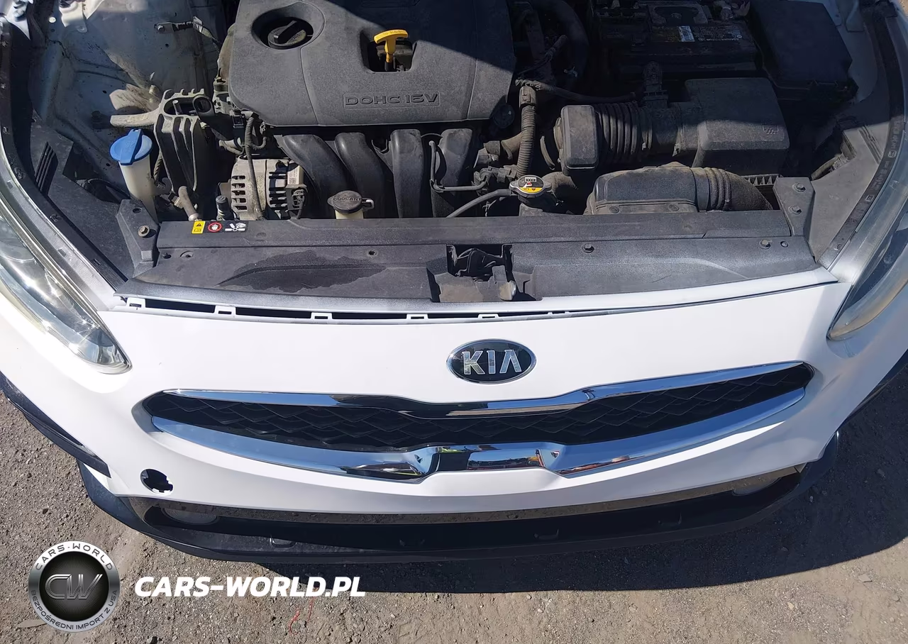 2019 Kia Forte Lxs VIN:3KPF24AD0KE013418 - 17